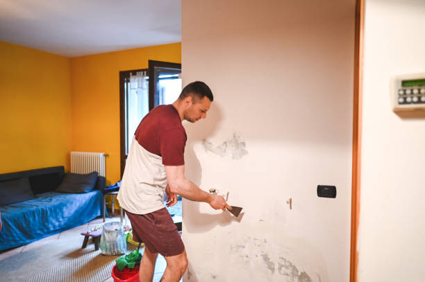 Best Mold Testing and Inspection Services in Port Angeles, WA
