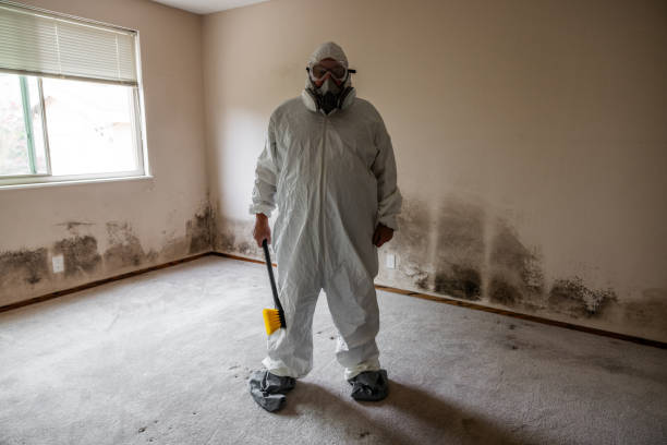 Best Industrial Mold Remediation in Port Angeles, WA